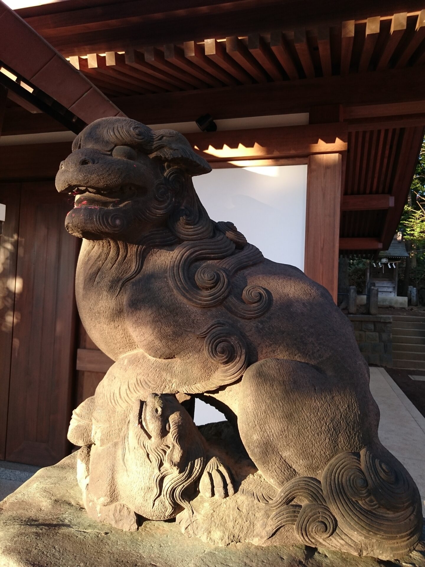 代田八幡神社の狛犬様